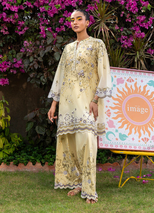 Printed Emb CO-ORD set