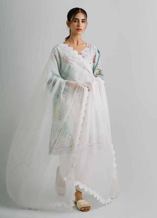 Applique Lace Dupatta