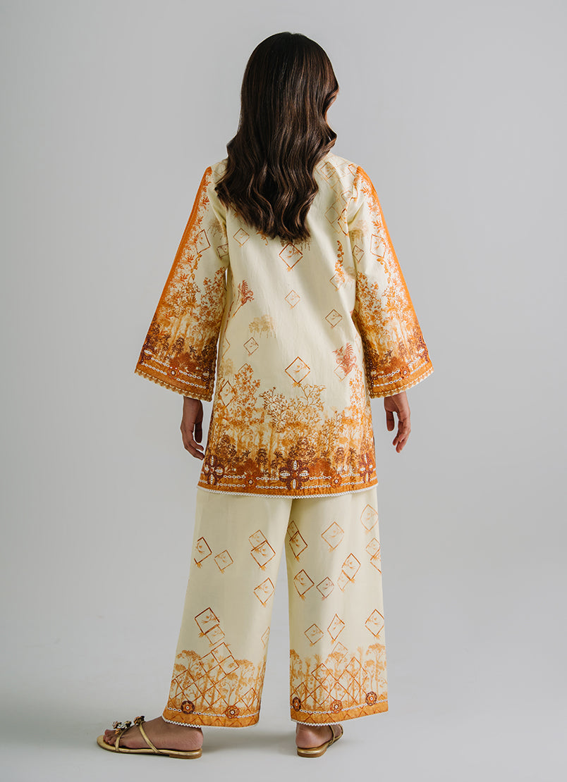 Printed Embroidered CO-ORD Set