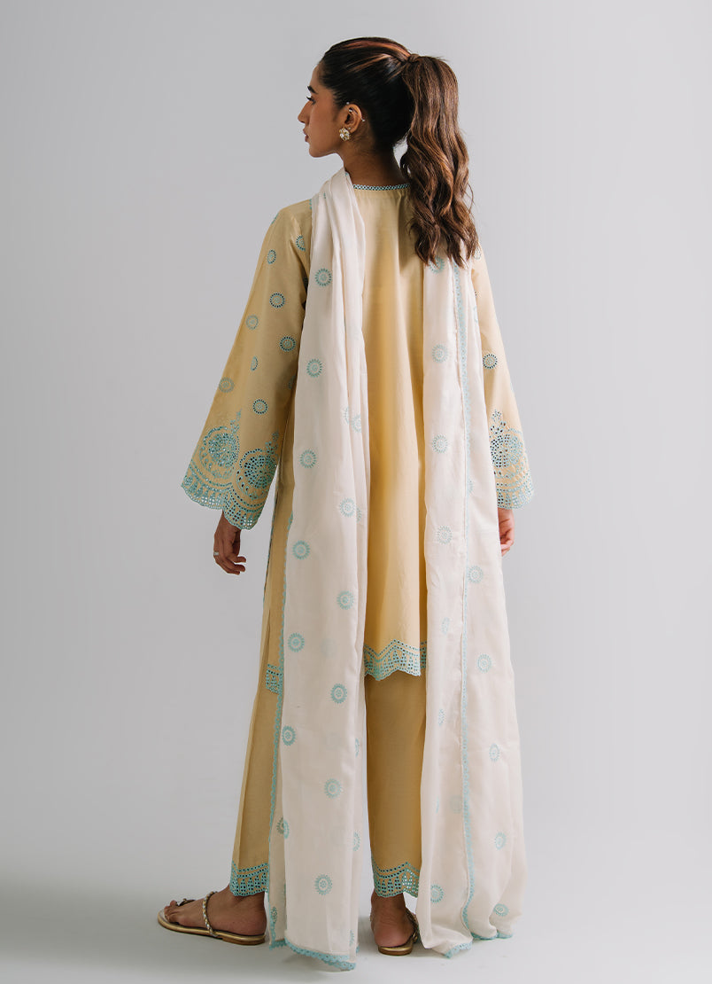 3 PC Embroidered Suit