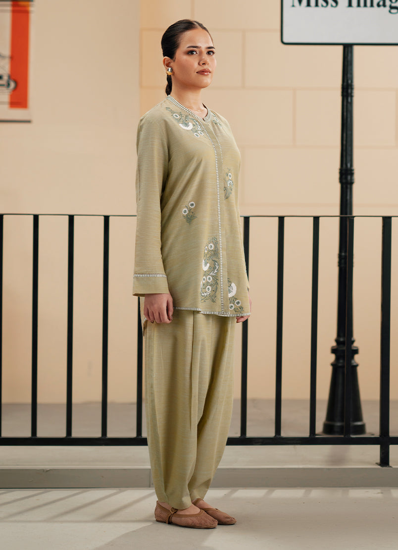 embroidered-co-ord-set