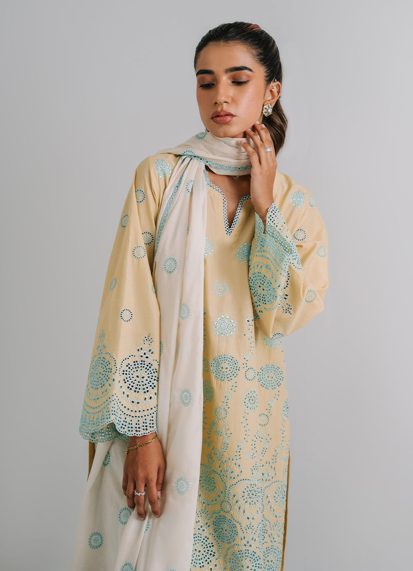 3 PC Embroidered Suit